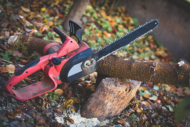 Best Lot and Land Clearing  in Rocklin, CA